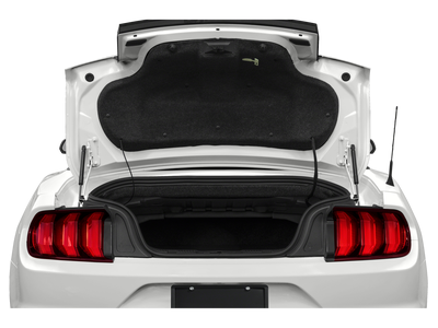 2023 Ford Mustang Eco Premium