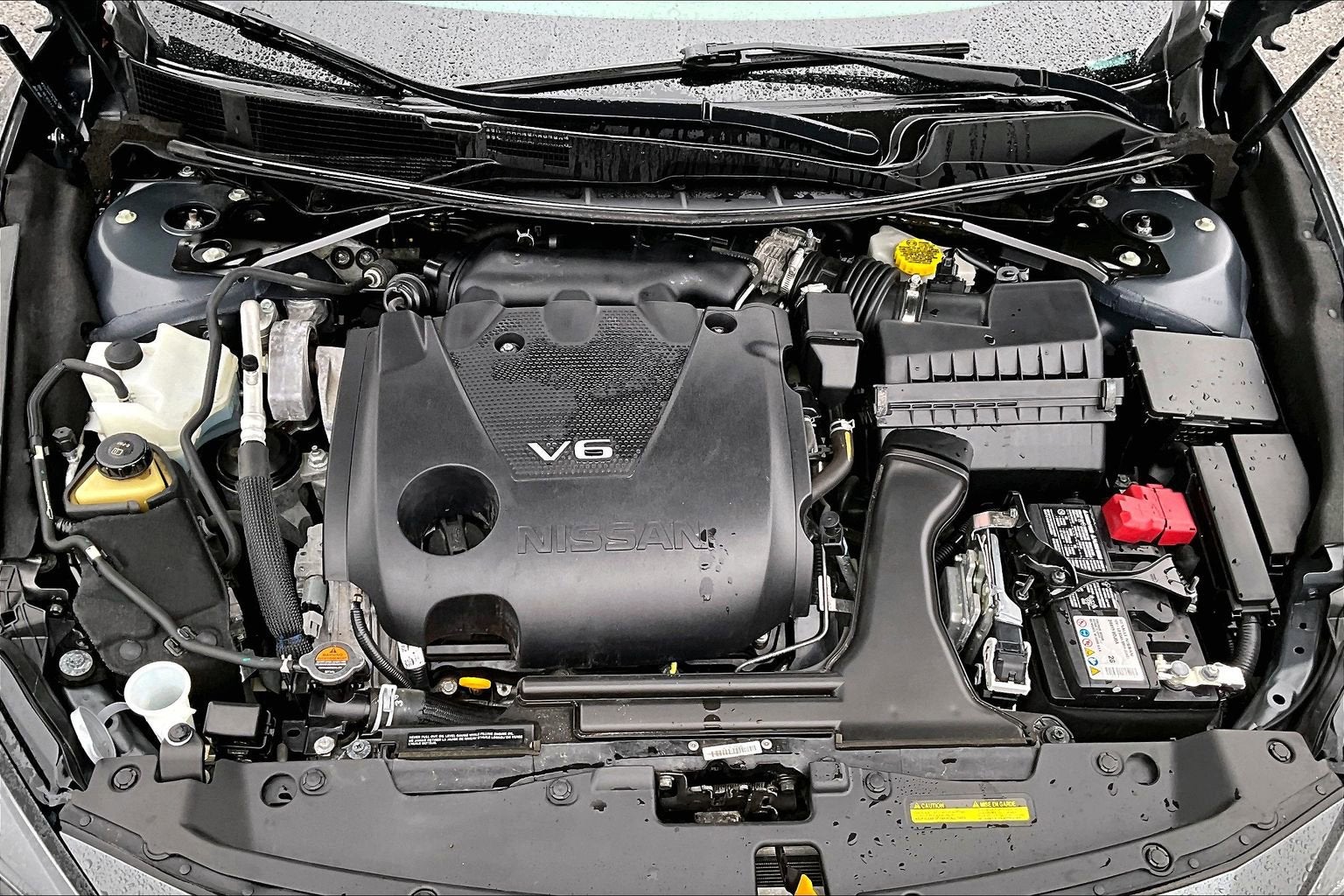 2023 Nissan Maxima SV