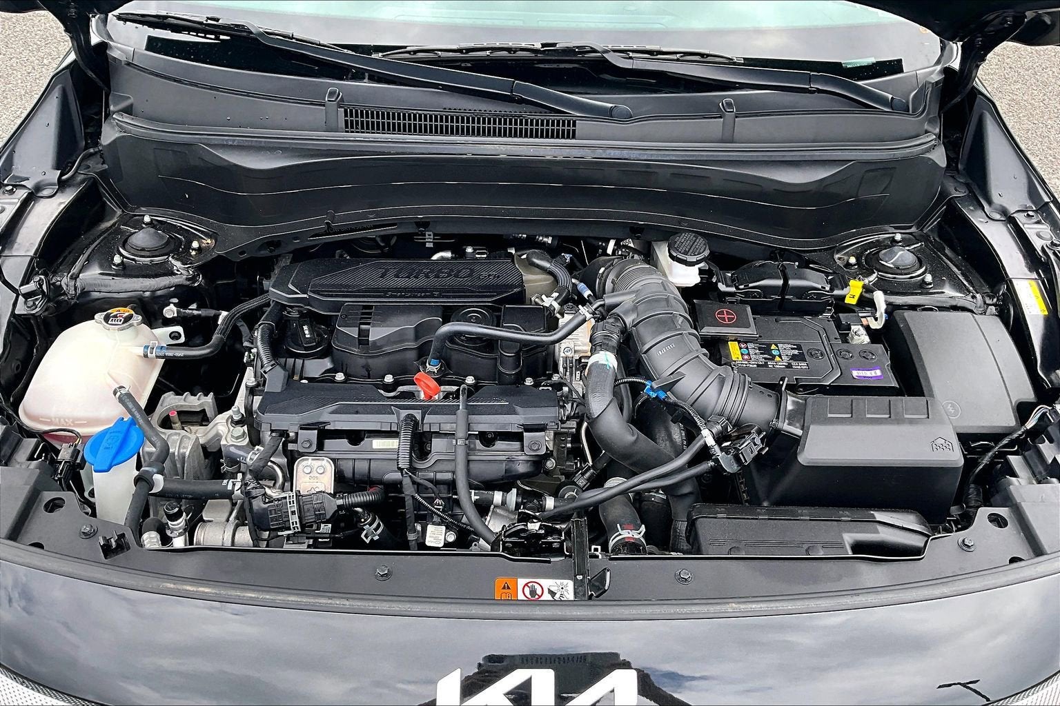 2024 Kia Seltos SX