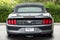 2023 Ford Mustang Eco Premium