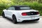2023 Ford Mustang Eco Premium