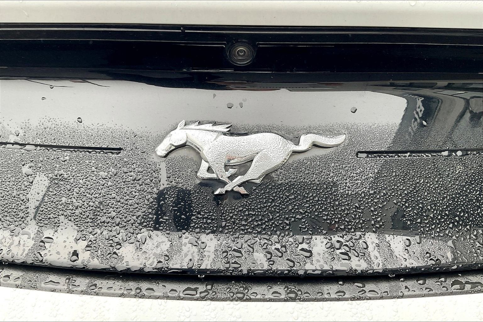 2023 Ford Mustang Eco Premium