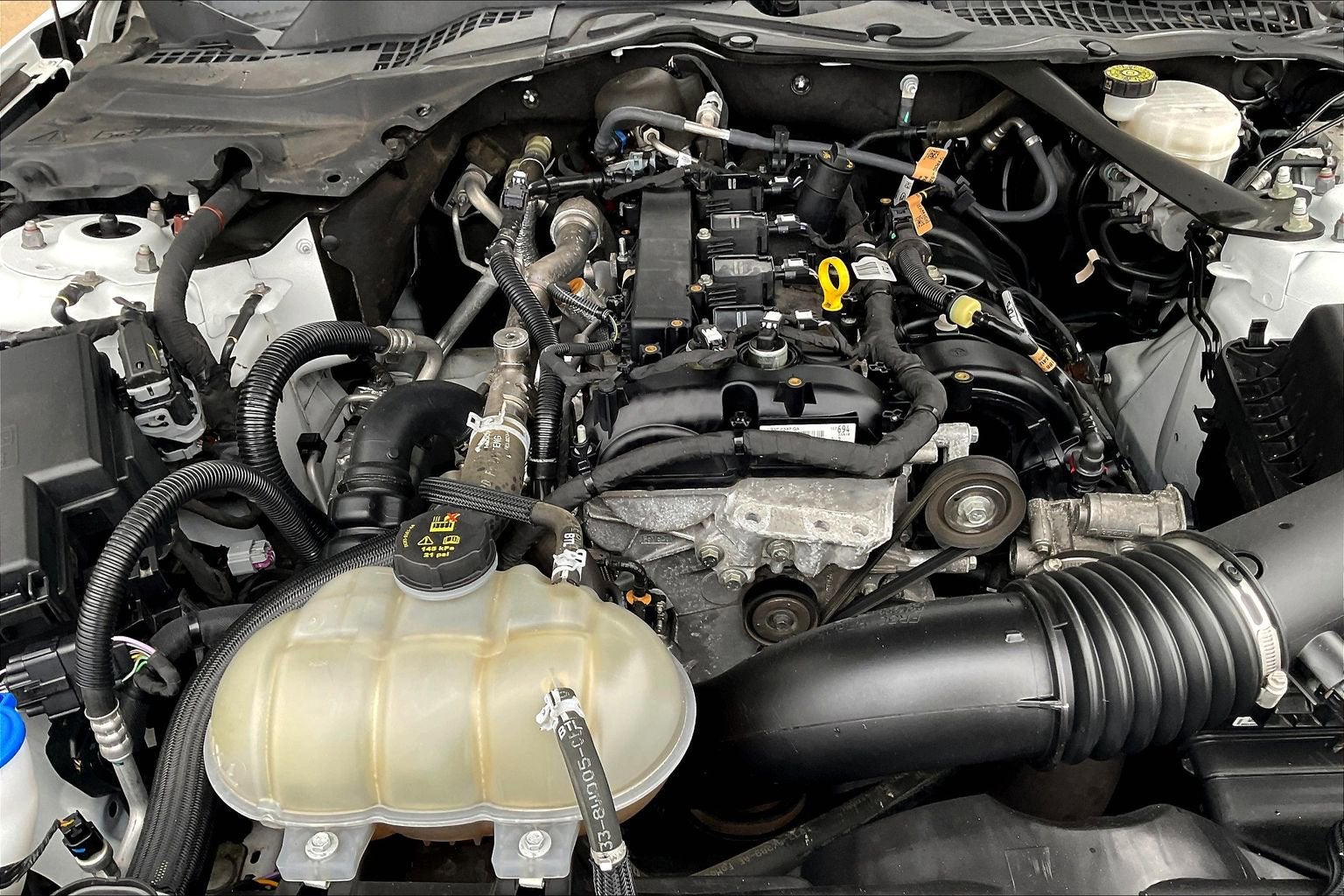 2023 Ford Mustang Eco Premium