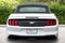 2023 Ford Mustang Eco Premium
