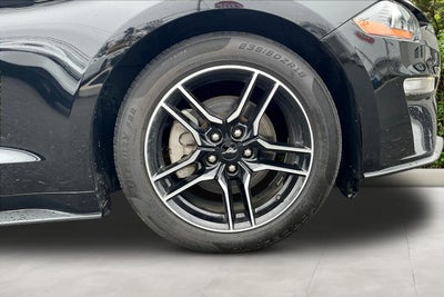 2023 Ford Mustang Eco Premium