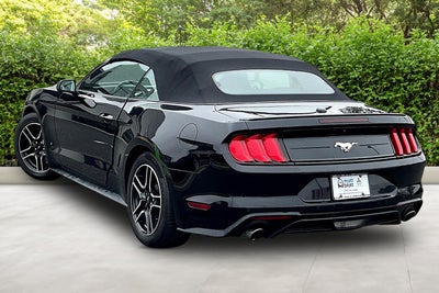 2023 Ford Mustang Eco Premium