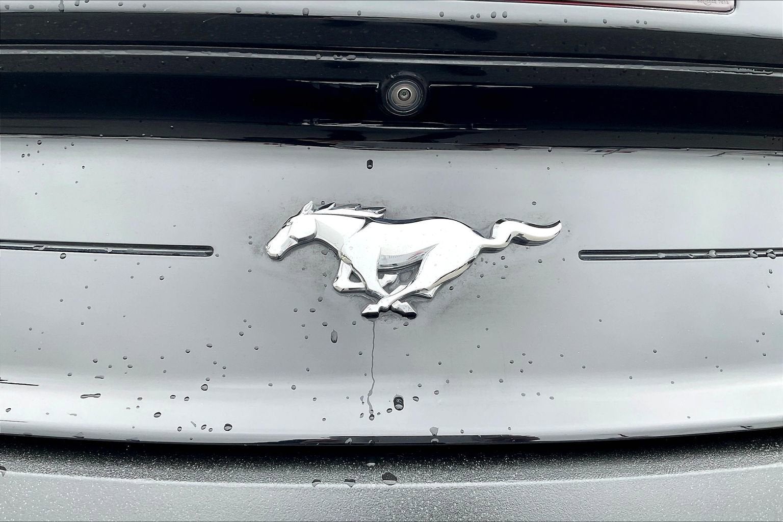 2023 Ford Mustang Eco Premium