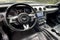 2023 Ford Mustang Eco Premium