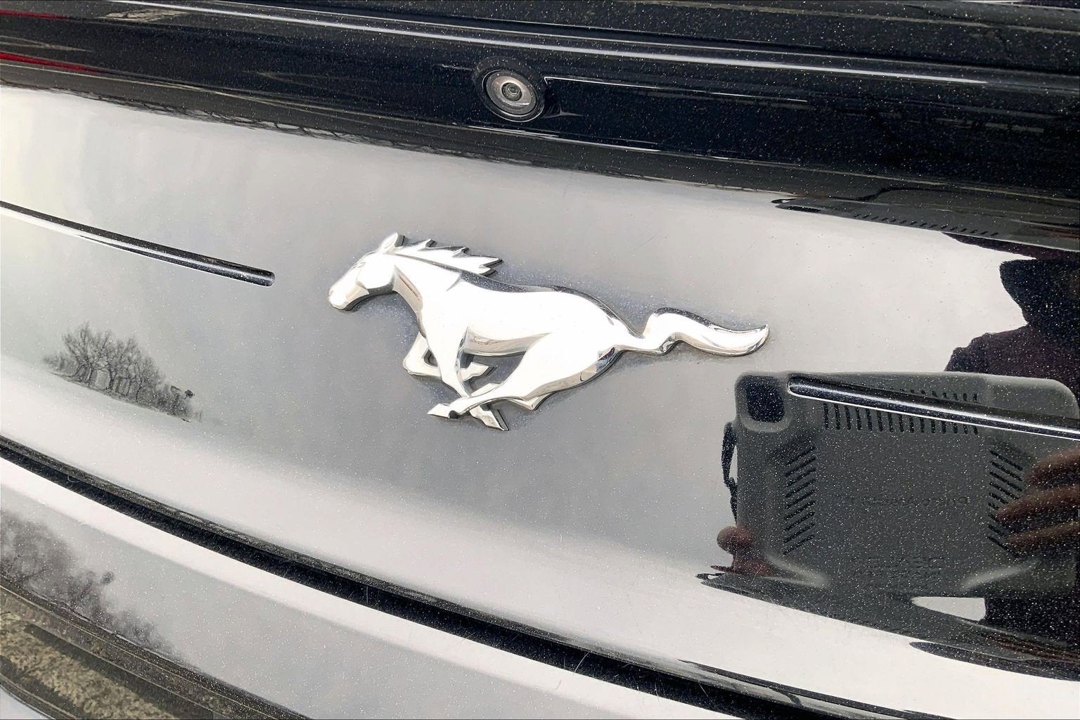 2019 Ford Mustang Eco