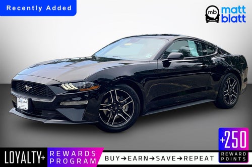 2023 Ford Mustang Eco Premium