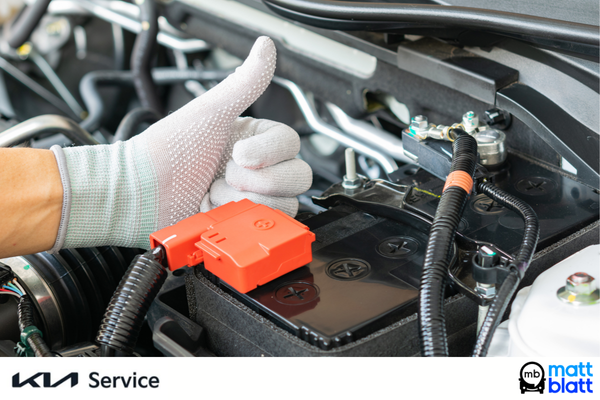 $24.99 Battery Service Special